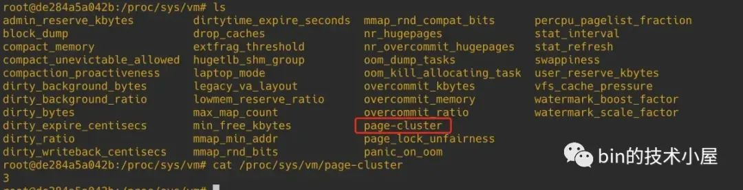 一文聊透 Linux 缺页异常的处理 —— 图解 Page Faults
