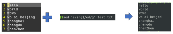 LINUX命令-sed