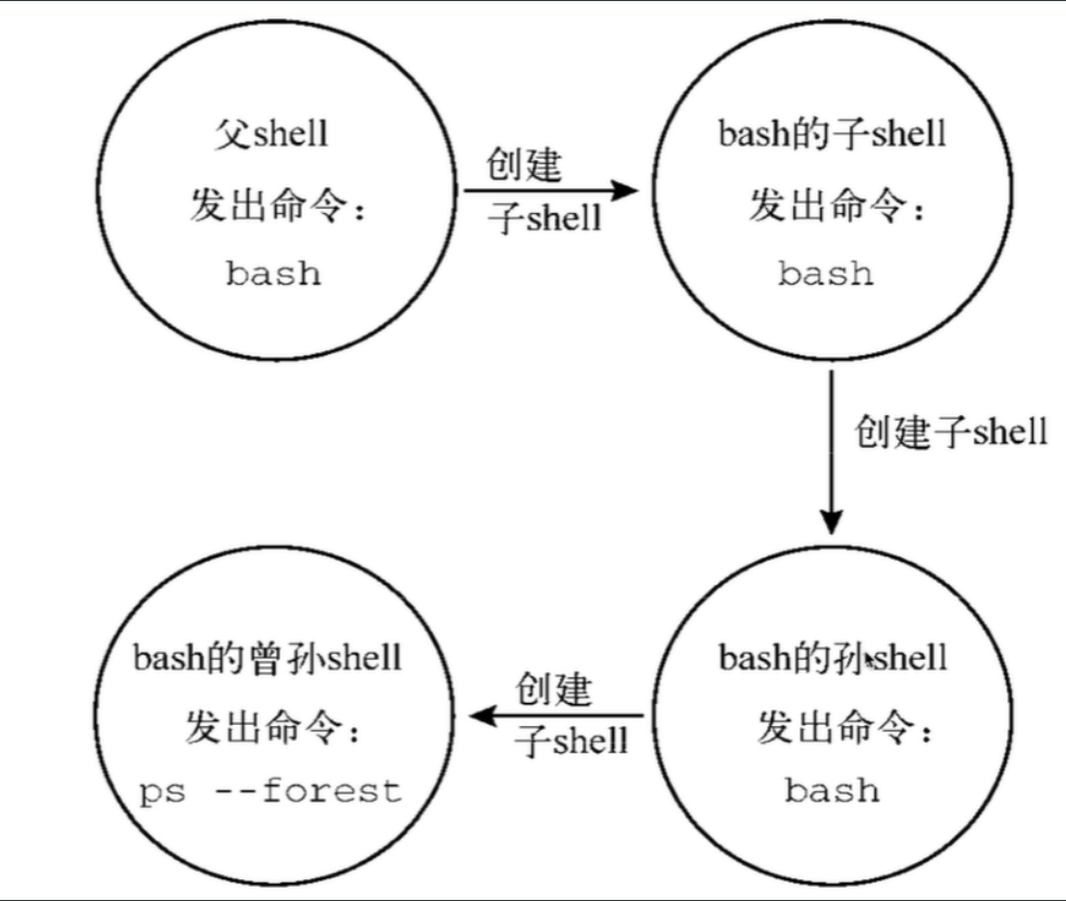 Linux-shell编程入门基础