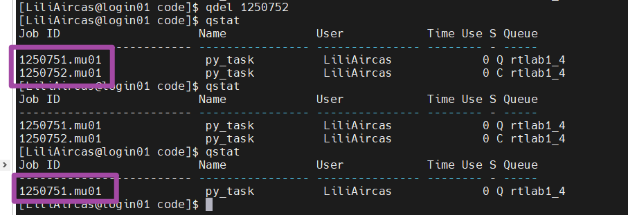 Linux服务器PBS任务队列作业提交脚本的使用方法