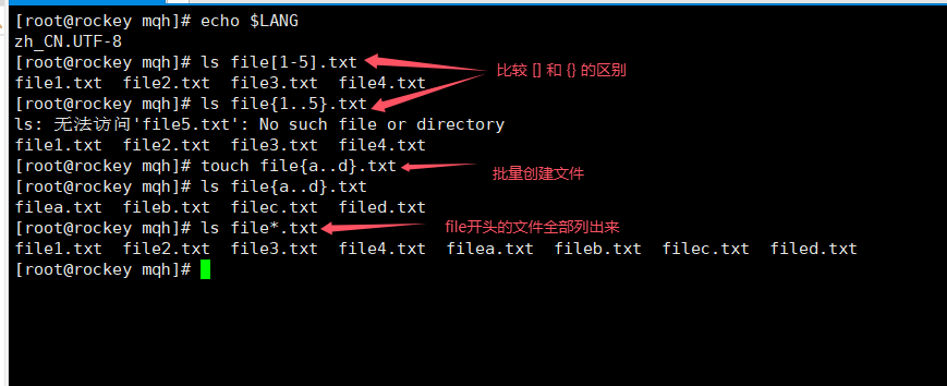 云计算运维-SRE基础篇之安装VMware