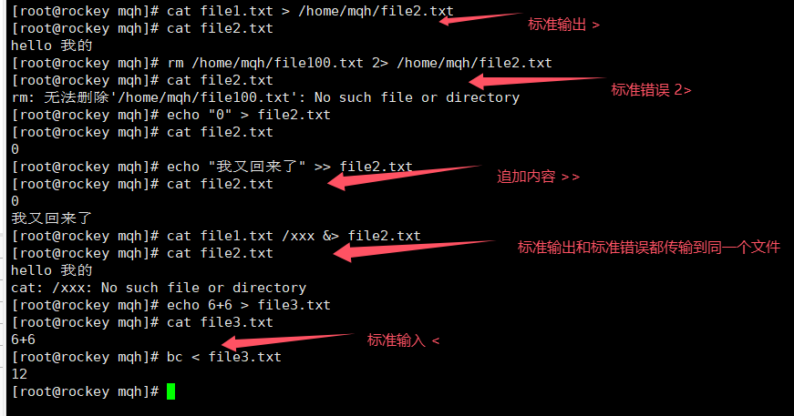 云计算运维-SRE基础篇之安装VMware