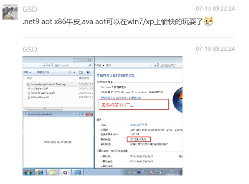 .NET 9 AOT的突破 - 支持老旧Win7与XP环境