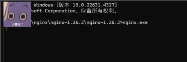 记录--nginx（前端必会-项目部署-精简通用篇）